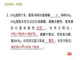 浙教版八年级下册科学习题课件 第3章 3.4.1 二氧化碳的性质及用途