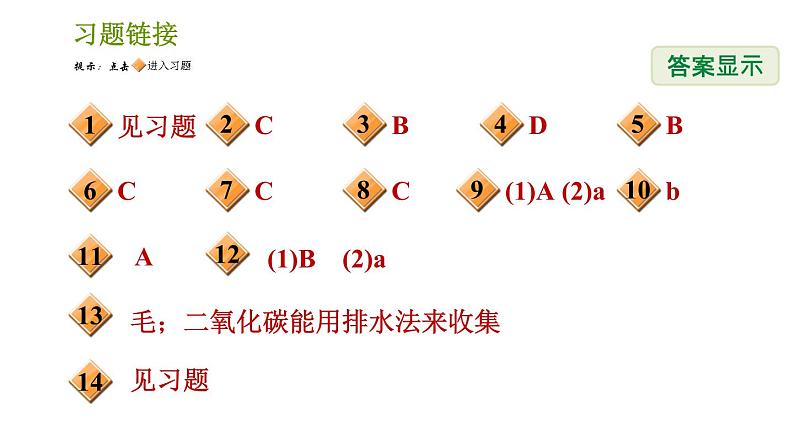 浙教版八年级下册科学习题课件 第3章 3.4.2 二氧化碳的制取02