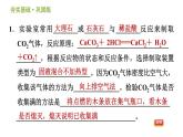 浙教版八年级下册科学习题课件 第3章 3.4.2 二氧化碳的制取