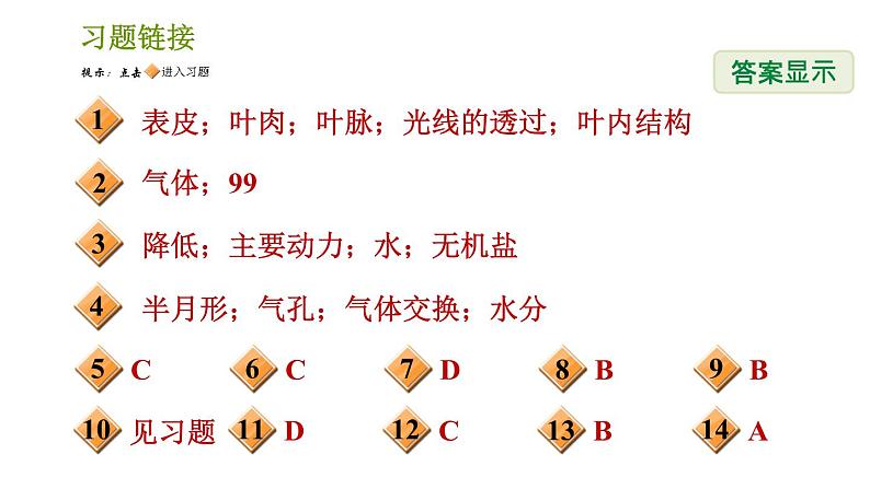 浙教版八年级下册科学习题课件 第4章 4.5 植物的叶与蒸腾作用02