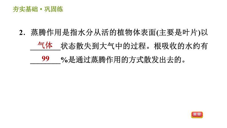 浙教版八年级下册科学习题课件 第4章 4.5 植物的叶与蒸腾作用05