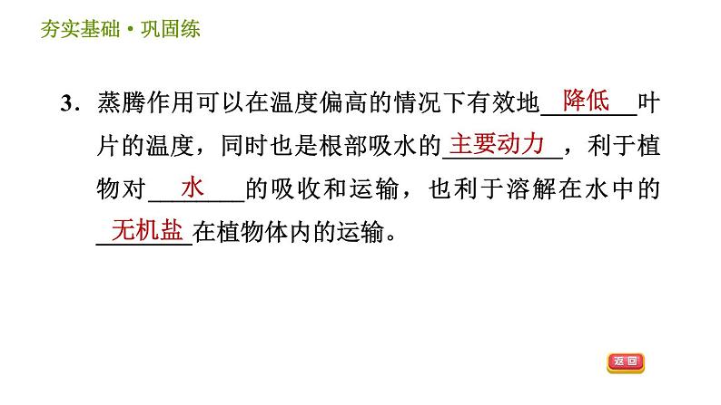 浙教版八年级下册科学习题课件 第4章 4.5 植物的叶与蒸腾作用06