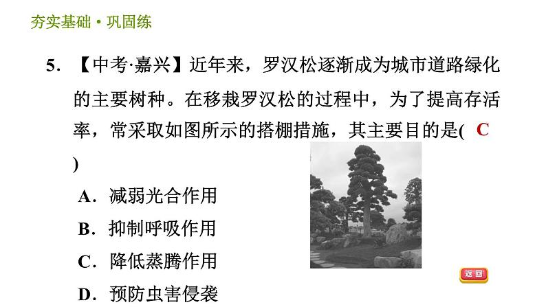 浙教版八年级下册科学习题课件 第4章 4.5 植物的叶与蒸腾作用08