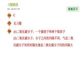 浙教版八年级下册科学习题课件 第2章 2.1 模型、符号的建立与作用