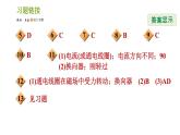 浙教版八年级下册科学习题课件 第1章 1.4.1 电动机及其工作原理