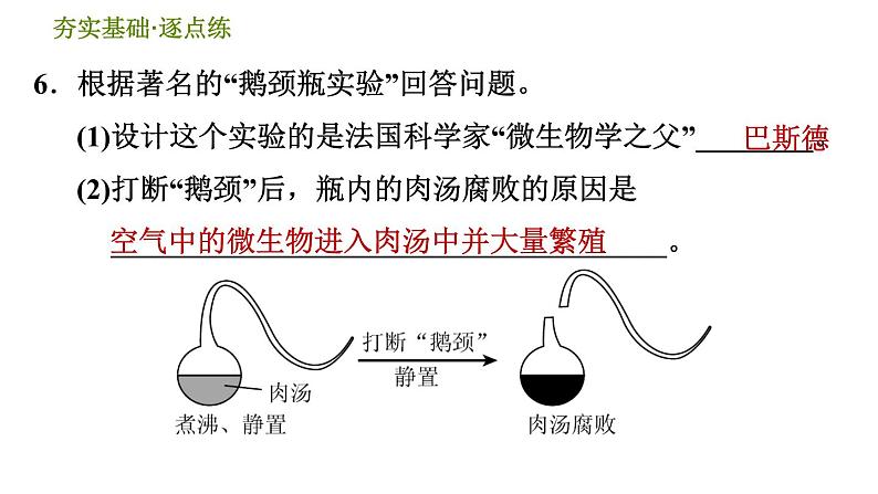 浙教版九年级下册科学课件 第1章 1.3 地球的演化和生命的起源第8页