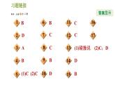 浙教版九年级下册科学课件 第1章 1.2 太阳系的形成和恒星的演化