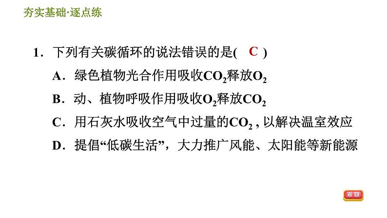 华师版九年级下册科学课件 第3章 3.2 自然界中的碳循环和氧循环03