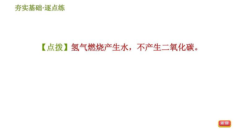 华师版九年级下册科学课件 第3章 3.2 自然界中的碳循环和氧循环05