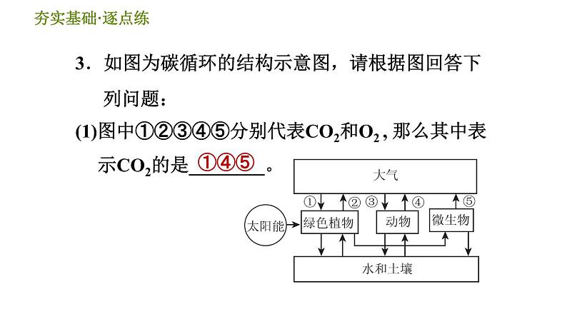 华师版九年级下册科学课件 第3章 3.2 自然界中的碳循环和氧循环06
