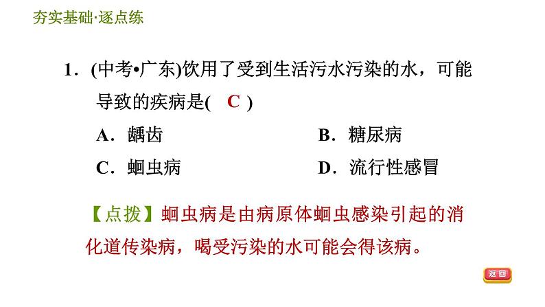 华师版九年级下册科学课件 第4章 4.6.2 环境污染与健康03