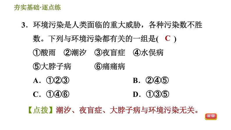 华师版九年级下册科学课件 第4章 4.6.2 环境污染与健康05