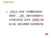 华师版九年级下册科学课件 第2章 2.4 生态平衡