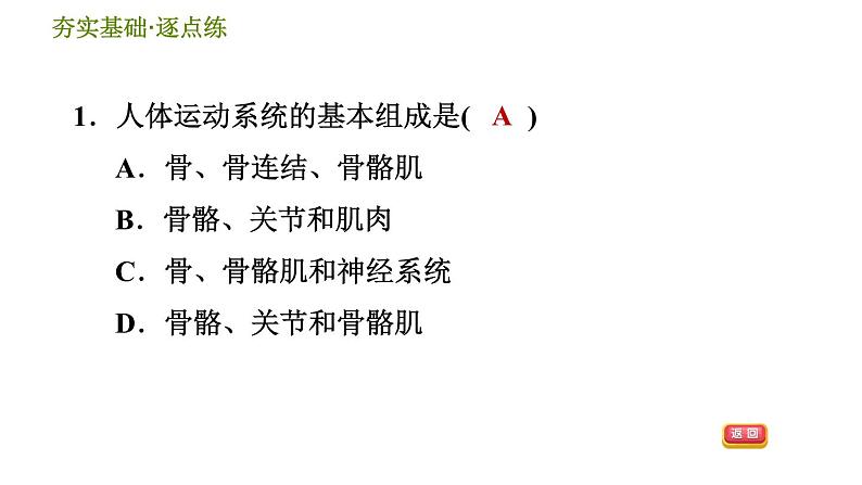 浙教版九年级下册科学课件 第3章 3.5 人的运动系统和保健第3页