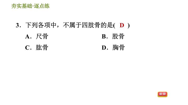 浙教版九年级下册科学课件 第3章 3.5 人的运动系统和保健第5页