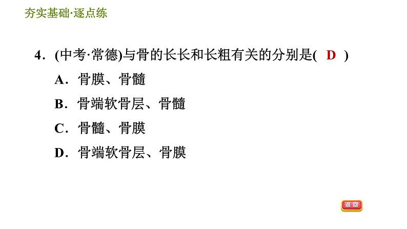 浙教版九年级下册科学课件 第3章 3.5 人的运动系统和保健第6页