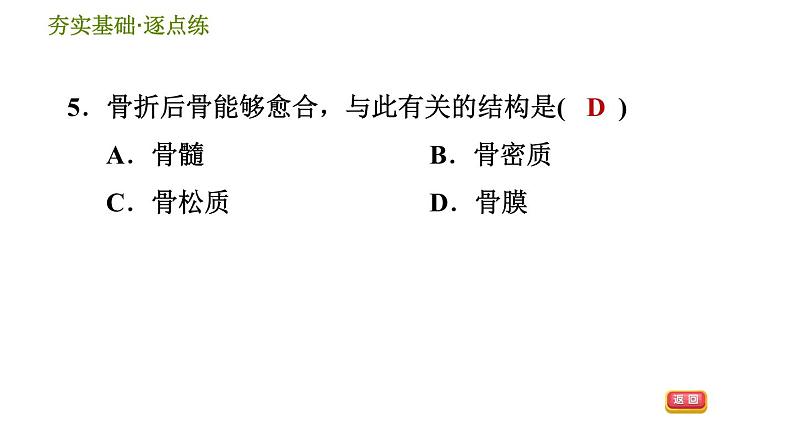 浙教版九年级下册科学课件 第3章 3.5 人的运动系统和保健第7页