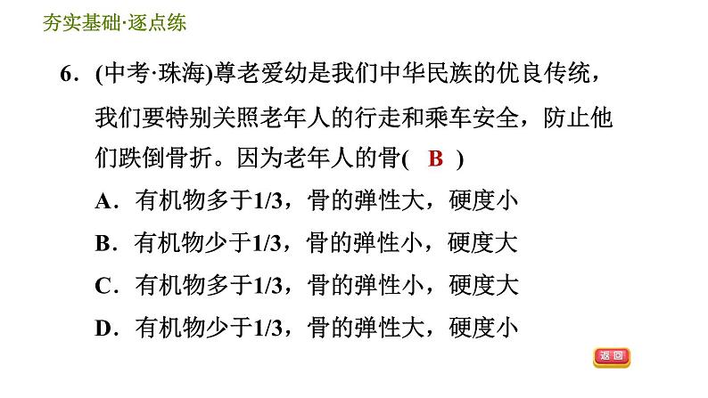 浙教版九年级下册科学课件 第3章 3.5 人的运动系统和保健第8页