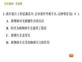 华师版八年级下册科学习题课件 第7章 7.5  植物生命活动的调节0