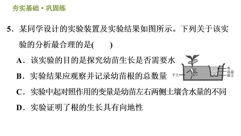 华师版八年级下册科学习题课件 第7章 7.5  植物生命活动的调节008