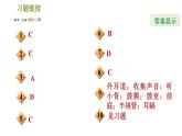 耳与听觉PPT课件免费下载