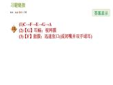 耳与听觉PPT课件免费下载