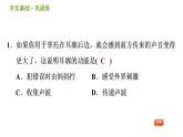 耳与听觉PPT课件免费下载