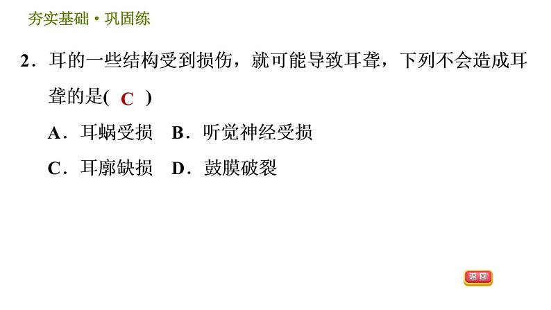 耳与听觉PPT课件免费下载05