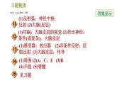 华师版八年级下册科学课件 第7章 7.2.2  神经调节的基本方式