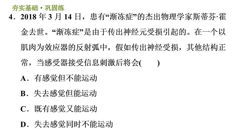 华师版八年级下册科学课件 第7章 7.2.2  神经调节的基本方式07