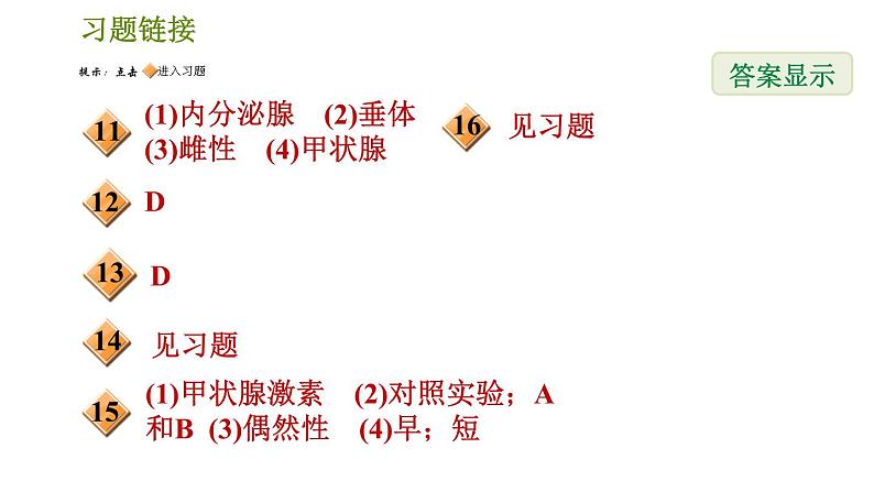 华师版八年级下册科学课件 第7章 7.3  人体生命活动的激素调节03