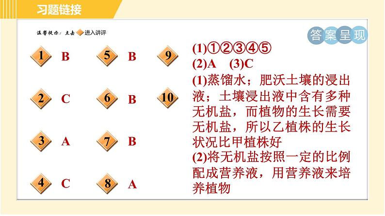 华师版八年级上册科学习题课件 第4章 4.3 无机盐在植物体内的代谢第2页