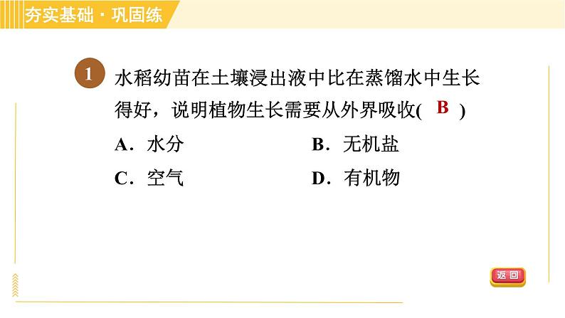 华师版八年级上册科学习题课件 第4章 4.3 无机盐在植物体内的代谢第4页