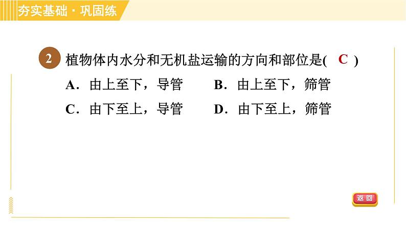 华师版八年级上册科学习题课件 第4章 4.3 无机盐在植物体内的代谢第5页