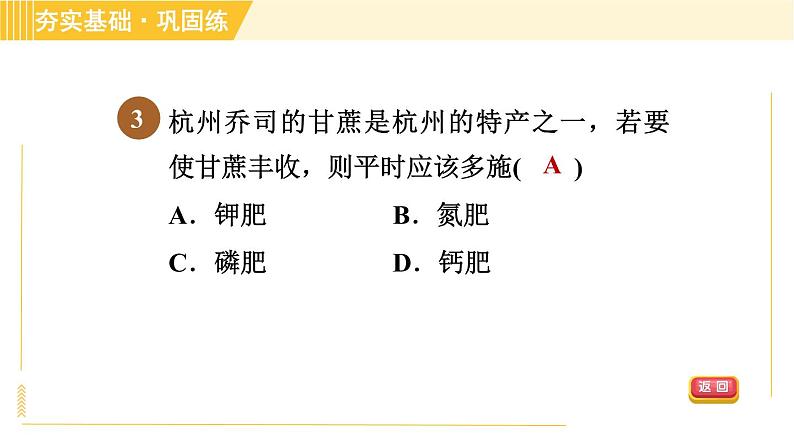 华师版八年级上册科学习题课件 第4章 4.3 无机盐在植物体内的代谢第6页