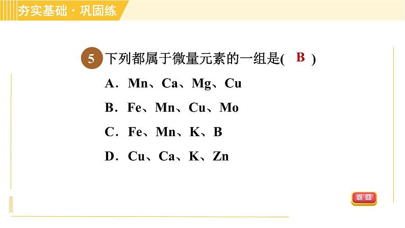 华师版八年级上册科学习题课件 第4章 4.3 无机盐在植物体内的代谢第8页