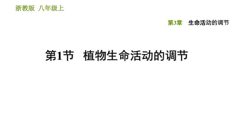 浙教版B本八年级上册科学习题课件 第3章 3.1 植物生命活动的调节01