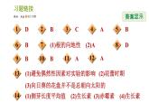 浙教版B本八年级上册科学习题课件 第3章 3.1 植物生命活动的调节