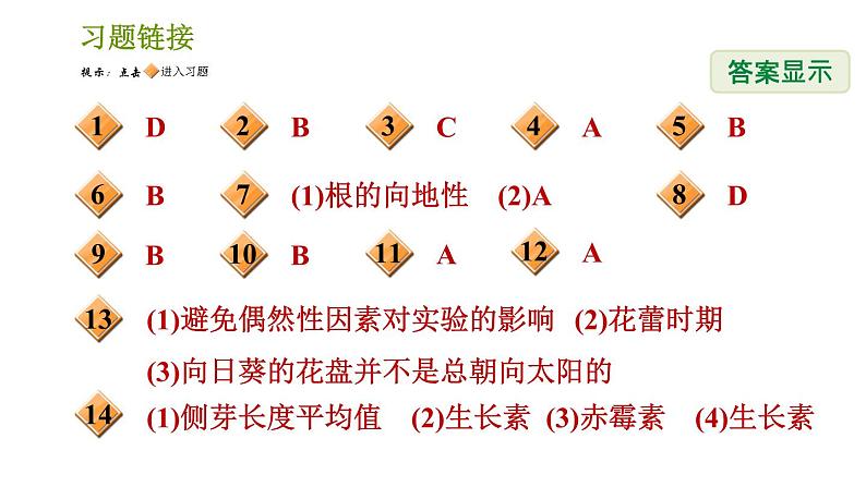 浙教版B本八年级上册科学习题课件 第3章 3.1 植物生命活动的调节02