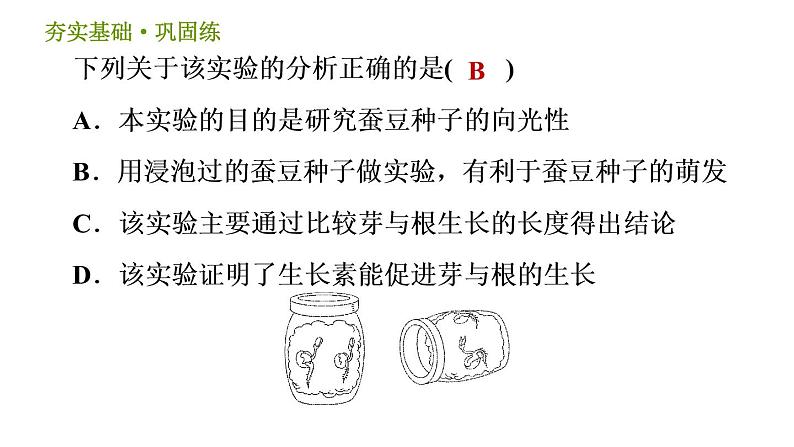 浙教版B本八年级上册科学习题课件 第3章 3.1 植物生命活动的调节05