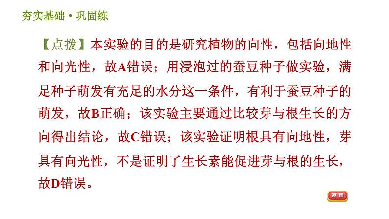 浙教版B本八年级上册科学习题课件 第3章 3.1 植物生命活动的调节06