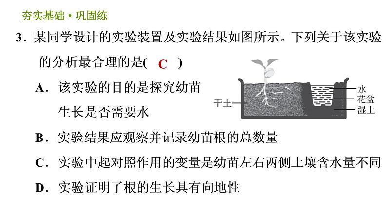 浙教版B本八年级上册科学习题课件 第3章 3.1 植物生命活动的调节07