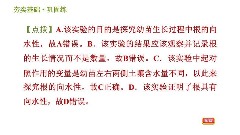 浙教版B本八年级上册科学习题课件 第3章 3.1 植物生命活动的调节08