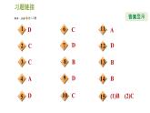 浙教版九年级下册科学课件 第3章 3.3 身体的防卫