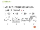 浙教版九年级下册科学课件 第3章 3.3 身体的防卫