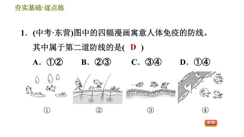 浙教版九年级下册科学课件 第3章 3.3 身体的防卫03