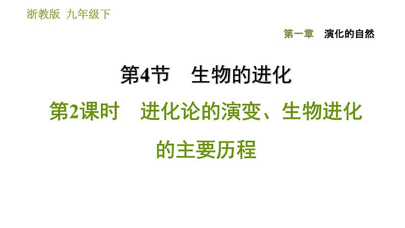 浙教版九年级下册科学课件 第1章 1.4.2 进化论的演变、生物进化的主要历程第1页