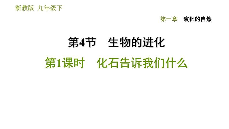 浙教版九年级下册科学课件 第1章 1.4.1 化石告诉我们什么第1页