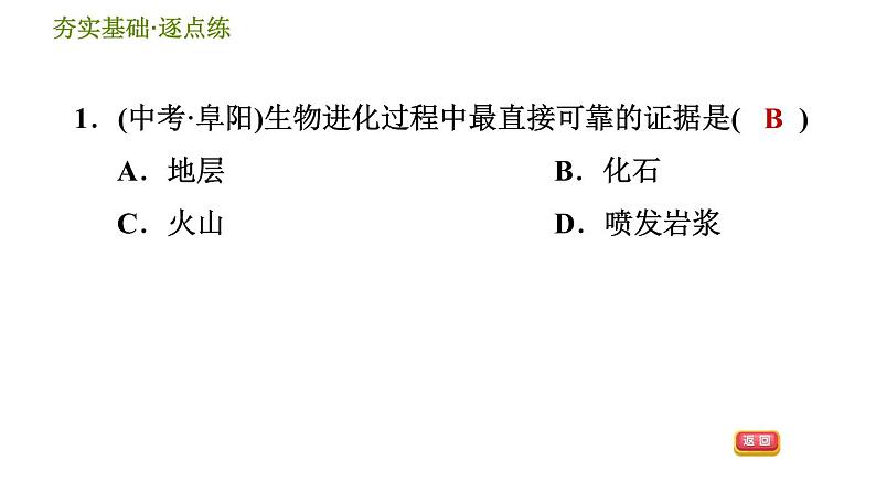 浙教版九年级下册科学课件 第1章 1.4.1 化石告诉我们什么第3页