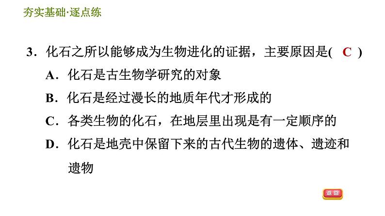 浙教版九年级下册科学课件 第1章 1.4.1 化石告诉我们什么第5页